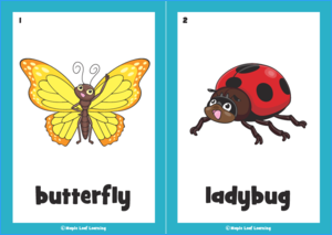 Butterfly Song Flashcards