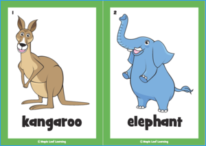 The Animal Song Flashcards