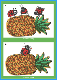 Three Ladybugs Flashcards