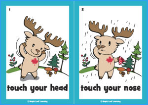 Touch Your Head Flashcards
