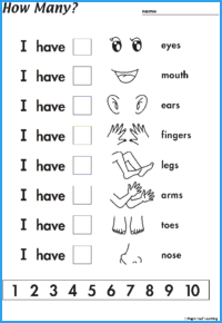 How Many Do You Have? Worksheet