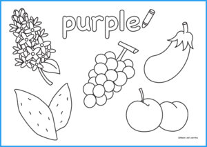 Purple Coloring Sheet
