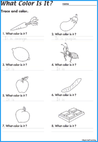 What Color Is It? Worksheet